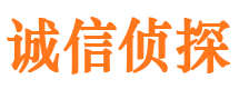 民和市婚外情调查